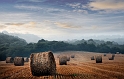 paysage 3_08_11 n03